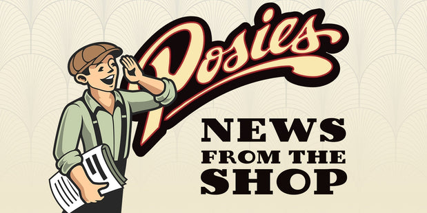 POSIES Checklist: Things to know and do before you invest in your project