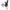 1957-64 Ford Truck Rear Spring Shackles
