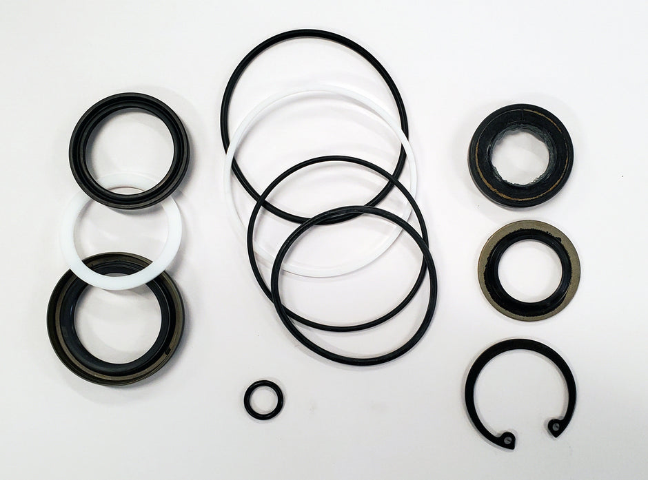 Borgeson - Seal kit - Borgeson P Series - P/N: SK800P