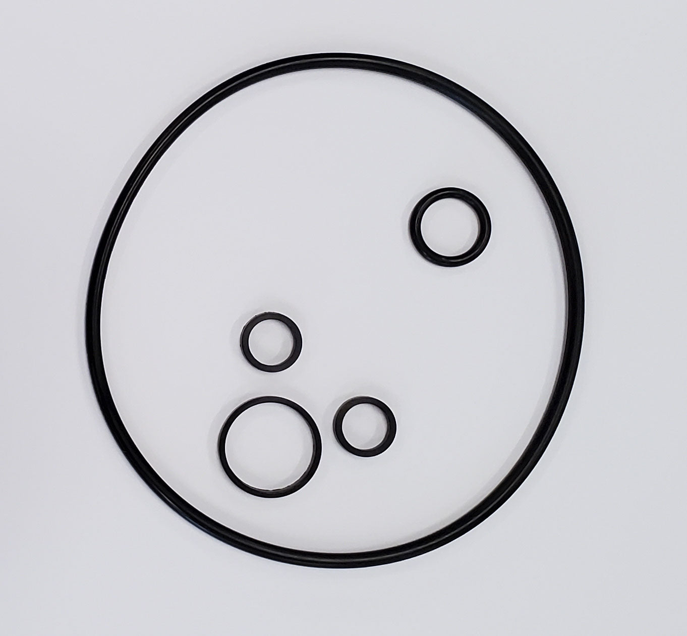 Borgeson - Seal kit - Borgeson Pump - P/N: SKPSPS